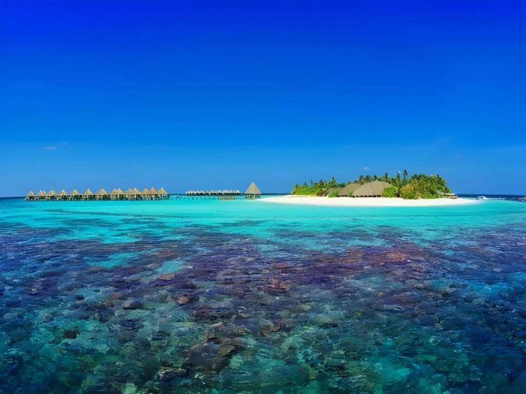 Angaga Island Resort And Spa Eksteriør billede